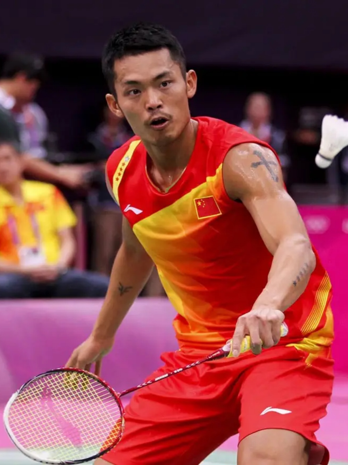 应了当地的 应了当地的