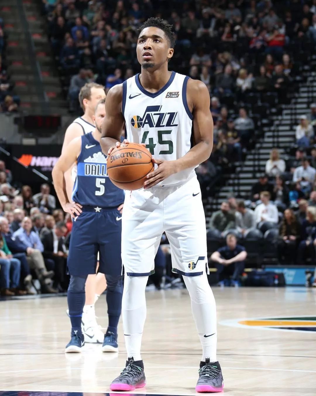 的底盘高度 的底盘高度