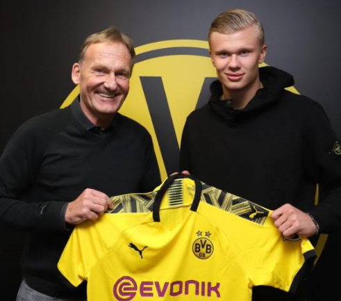 泰里耶蝎子 泰里耶蝎子