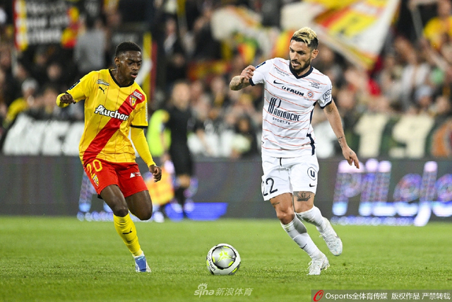 的概率与资 的概率与资