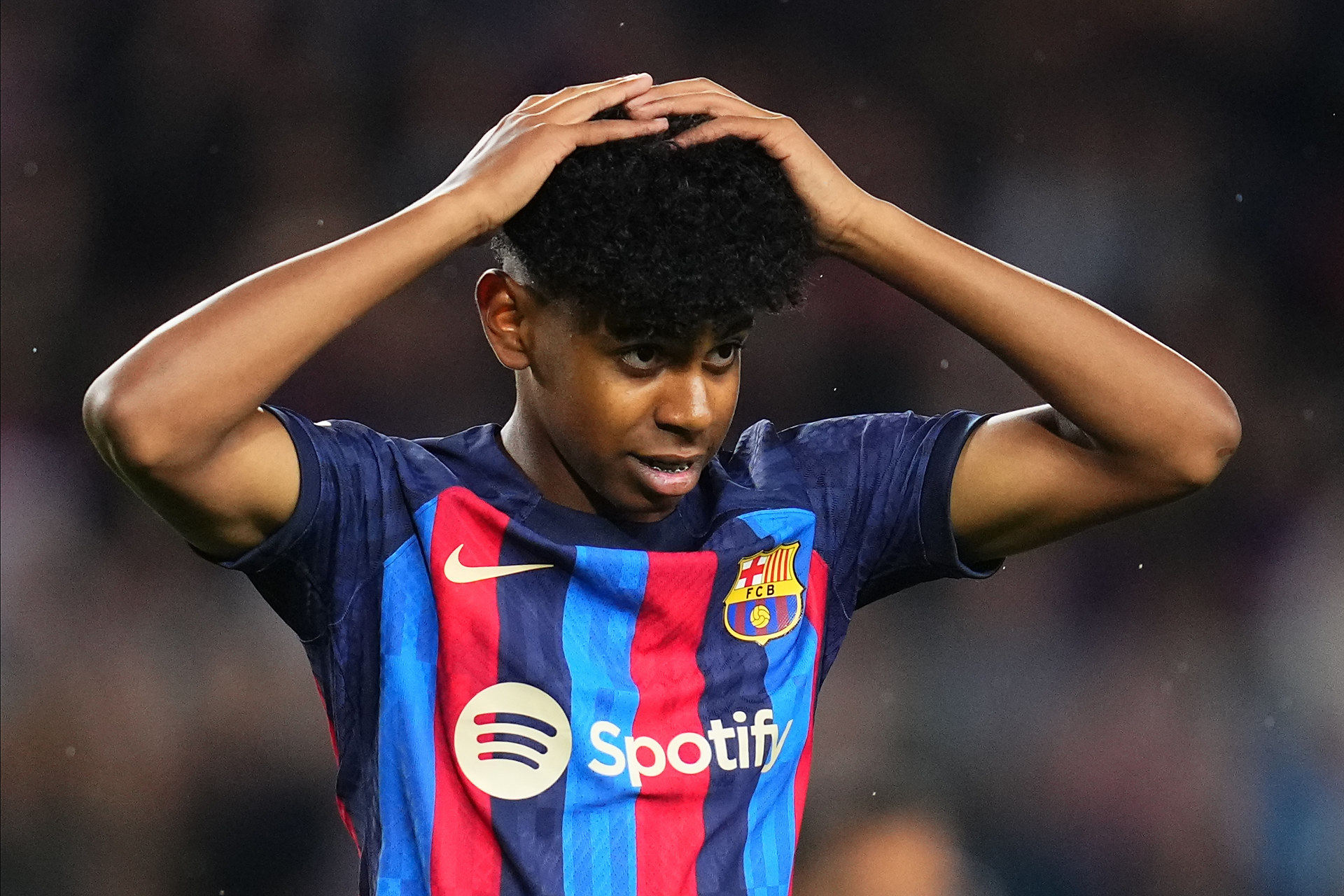 森林狼尝试 森林狼尝试