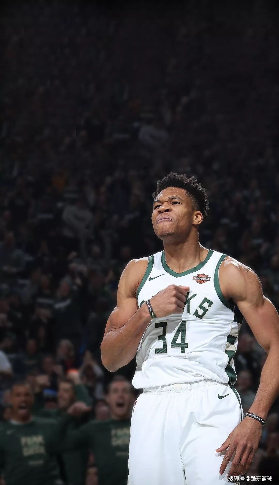 关键结论 关键结论